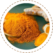 Curcumin Extract